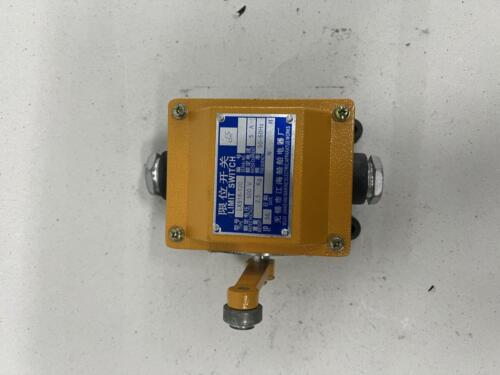 LIMIT SWITCH LX918-120